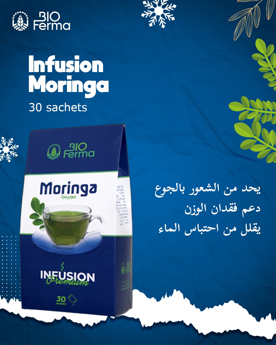 Thé infusion moringa