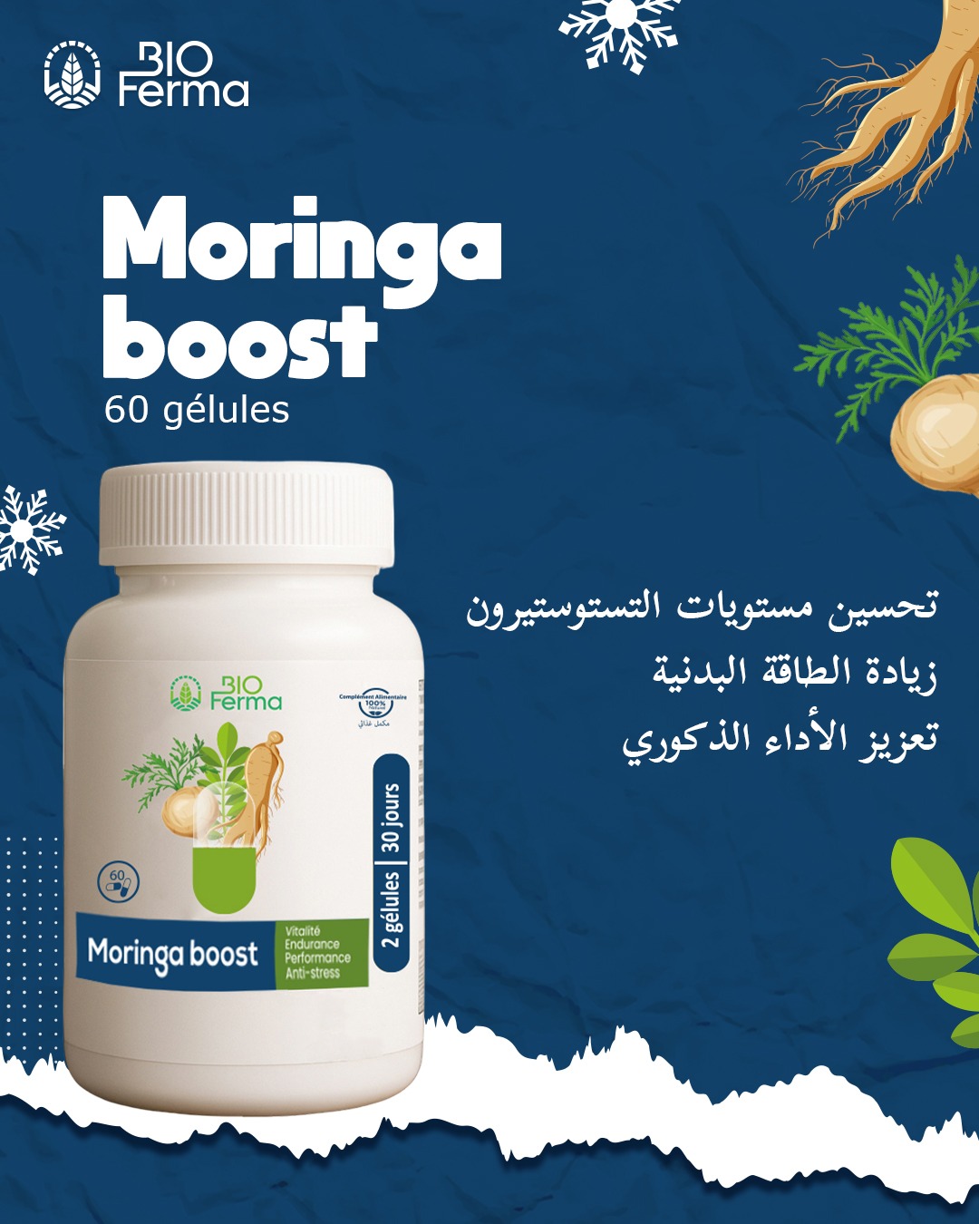 Moringa boost